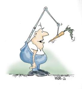 ignoring the carrot Ignoring the Carrot