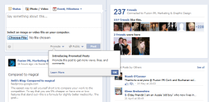promoted posts - facebook