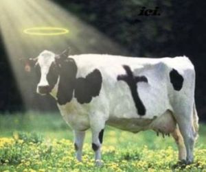 Sacred Cow - Irish Corporation Tax