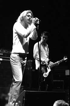 Dave Farrell, Rubyhorse