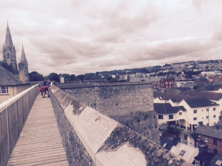 Elizabeth Fort, Cork